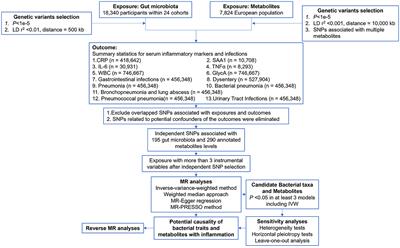 Causal associations of genetically predicted gut microbiota and blood metabolites with inflammatory states and risk of infections: a Mendelian randomization analysis